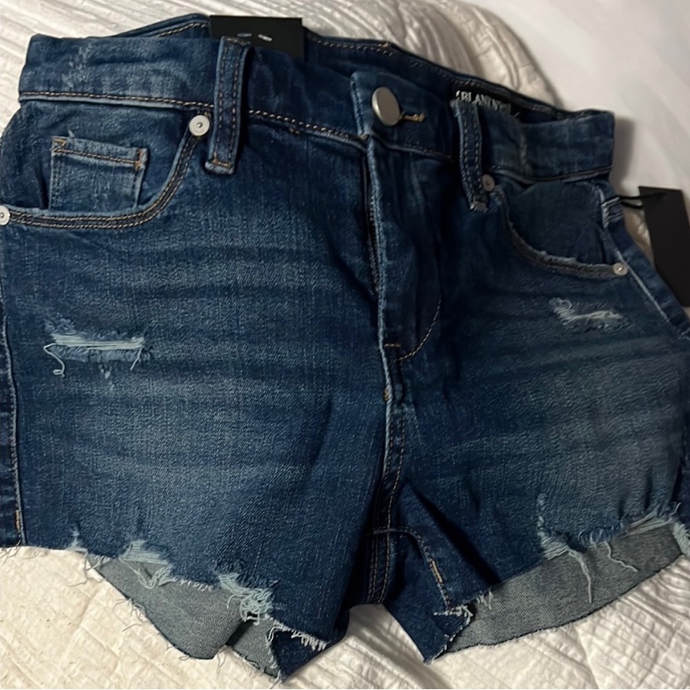 Blank NYC Blue Distressed Jean Shorts
